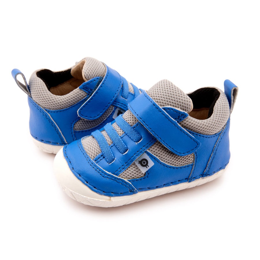 Shoes Old Soles Girl'S Casual Shoes | Old Soles Boy'S & Girl'S 4047 Bru Pave Shoe - Neon Blue/Light Grey/Black