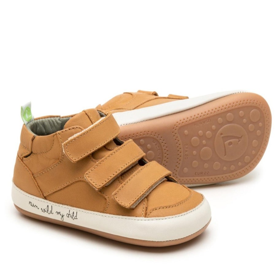 Shoes Tip Toey Joey Boy'S Casual Shoes | Tip Toey Joey Boy'S Metropoly Sneakers, Hay